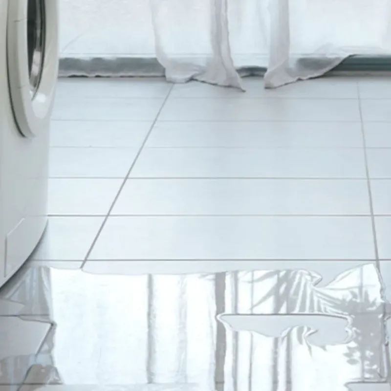 Appliance Leak Cleanup in Fort Collins, CO