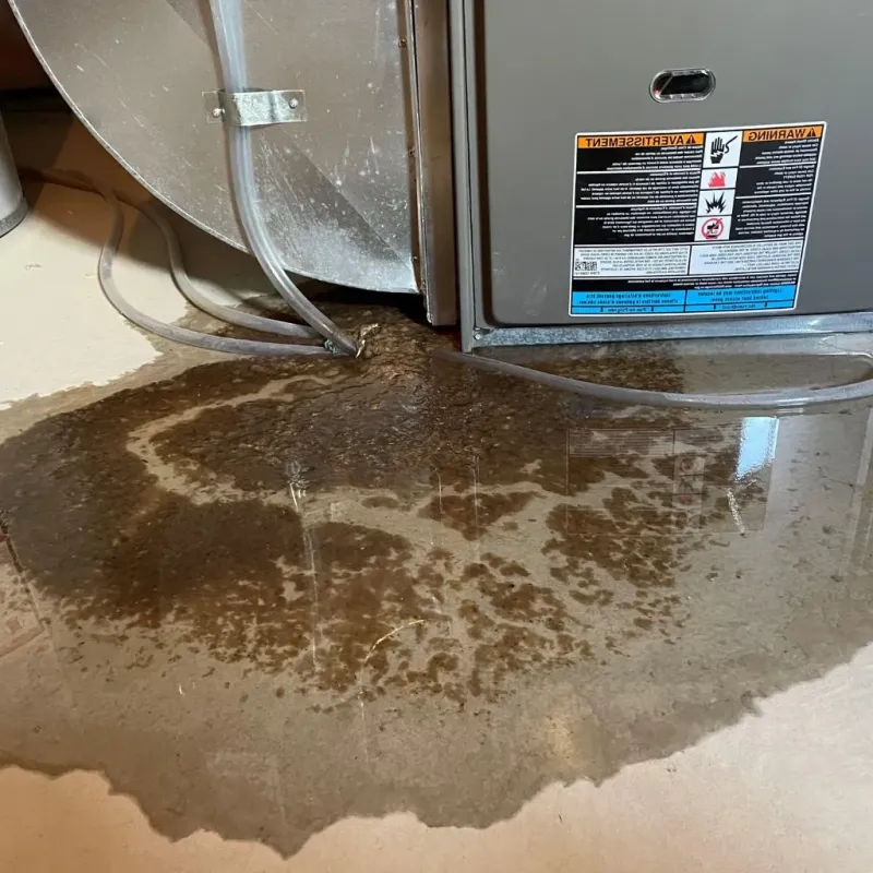 Pipe Burst and Leak Restoration in Fort Collins, CO
